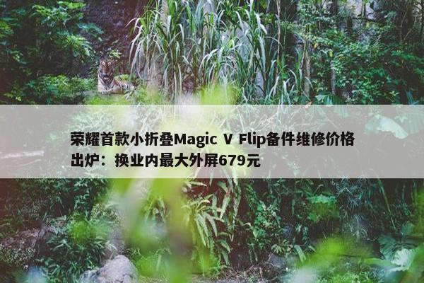 荣耀首款小折叠Magic V Flip备件维修价格出炉：换业内最大外屏679元