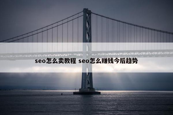 seo怎么卖教程 seo怎么赚钱今后趋势