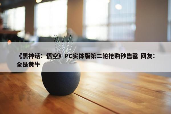 《黑神话：悟空》PC实体版第二轮抢购秒售罄 网友：全是黄牛