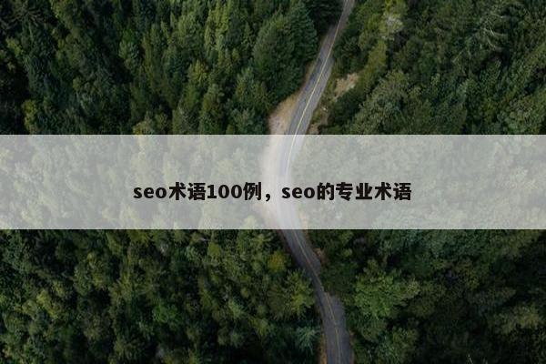 seo术语100例，seo的专业术语