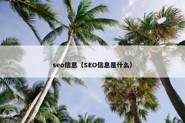 seo信息（SEO信息是什么）