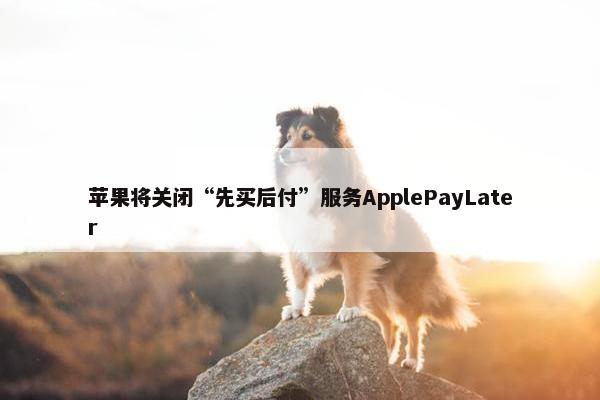 苹果将关闭“先买后付”服务ApplePayLater