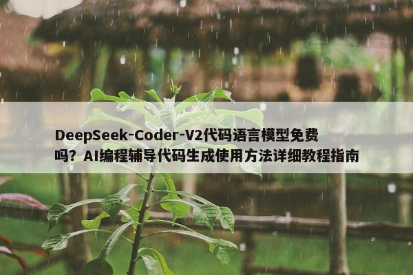 DeepSeek-Coder-V2代码语言模型面菲吗？AI编程辅导代码生成使用方法详细教程指南