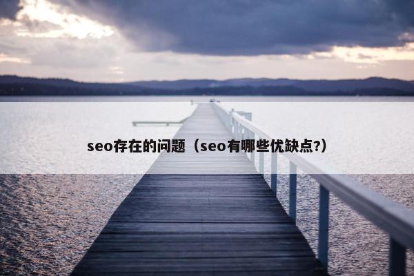 seo存在的问题（seo有哪些优缺点?）