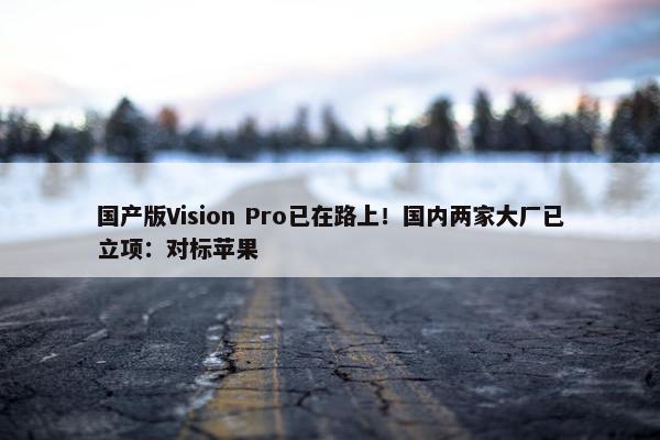 国产版Vision Pro已在路上！国内两家大厂已立项：对标苹果