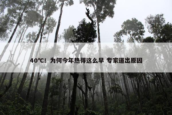 40℃！为何今年热得这么早 专家道出原因