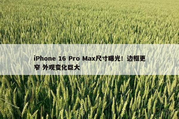 iPhone 16 Pro Max尺寸曝光！边框更窄 外观变化巨大