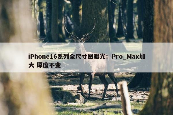 iPhone16系列全尺寸图曝光：Pro_Max加大 厚度不变