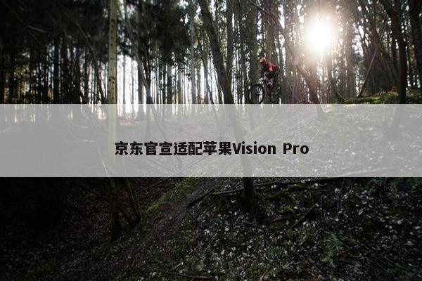 京东官宣适配苹果Vision Pro