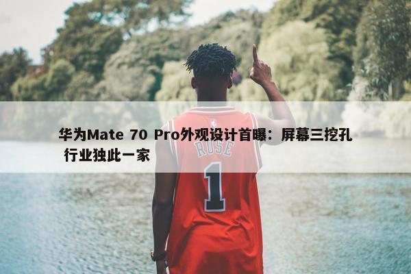 华为Mate 70 Pro外观设计首曝：屏幕三挖孔 行业独此一家