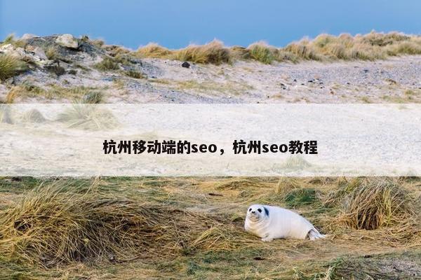 杭州移动端的seo，杭州seo教程