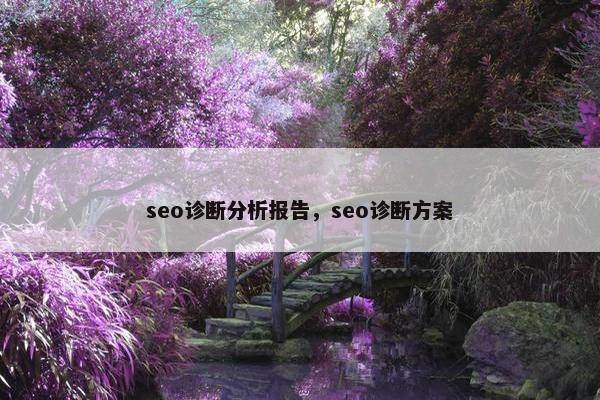 seo诊断分析报告，seo诊断方案