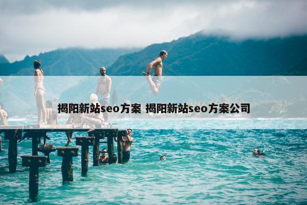 揭阳新站seo方案 揭阳新站seo方案公司