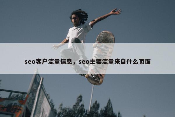 seo客户流量信息，seo主要流量来自什么页面