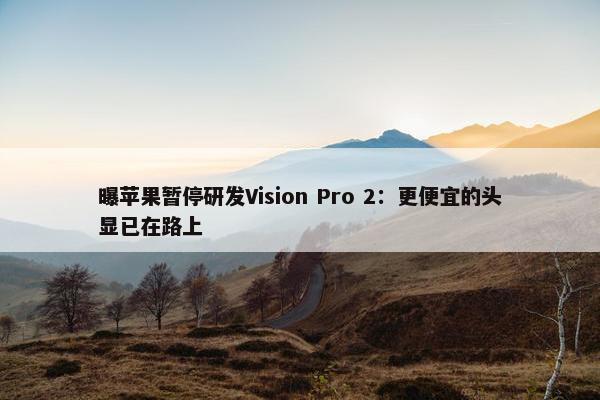 曝苹果暂停研发Vision Pro 2：更便宜的头显已在路上