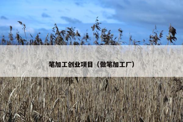 笔加工创业项目（做笔加工厂）