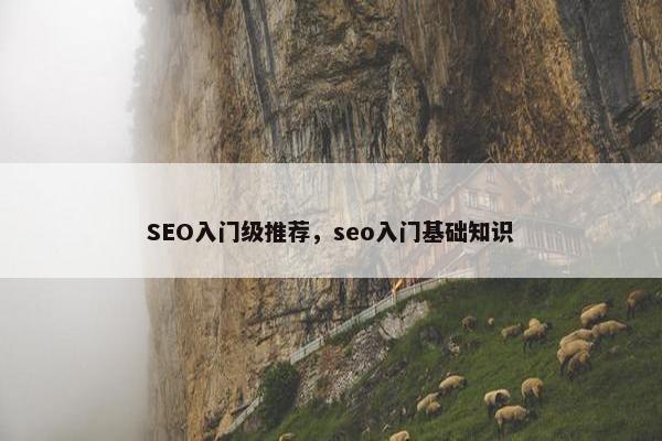 SEO入门级推荐，seo入门基础知识