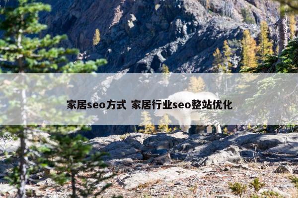 家居seo方式 家居行业seo整站优化