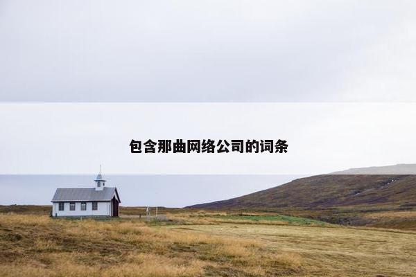 包含那曲网络公司的词条