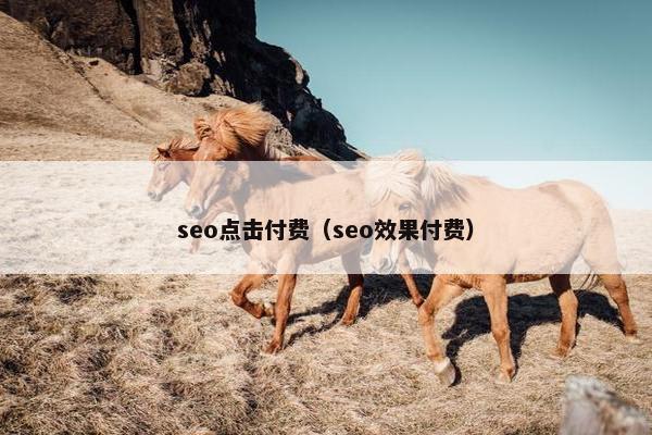 seo点击付费（seo效果付费）