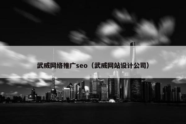 武威网络推广seo（武威网站设计公司）