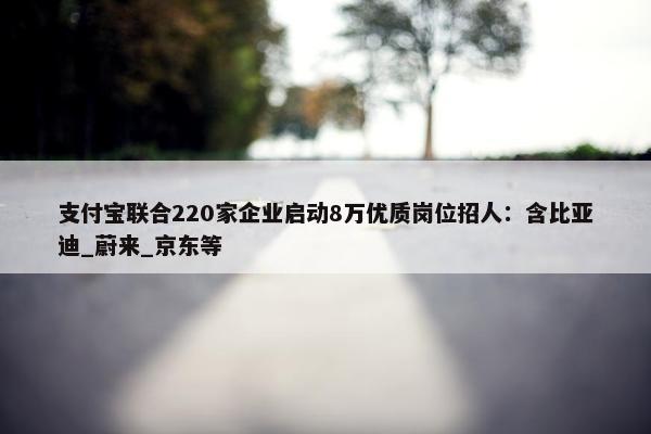 支付宝联合220家企业启动8万优质岗位招人：含比亚迪_蔚来_京东等