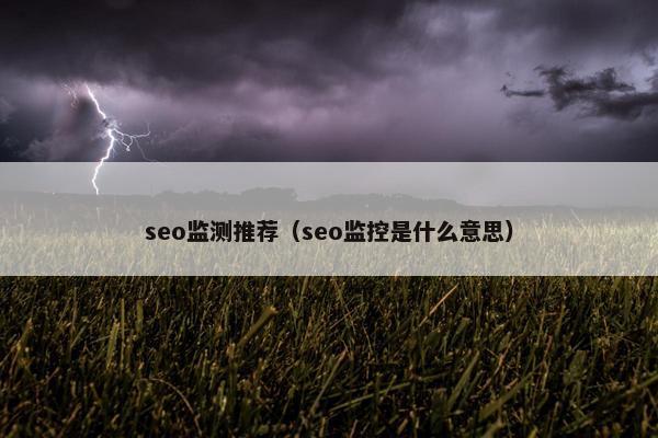 seo监测推荐（seo监控是什么意思）