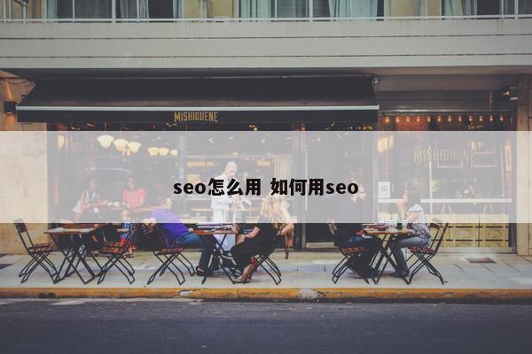 seo怎么用 如何用seo