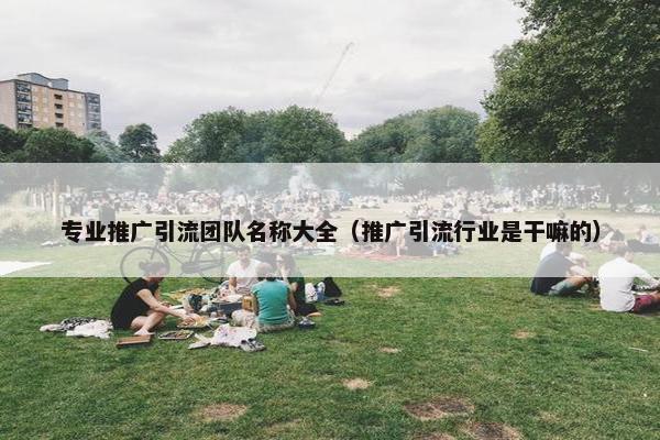 专业推广引流团队名称大全（推广引流行业是干嘛的）