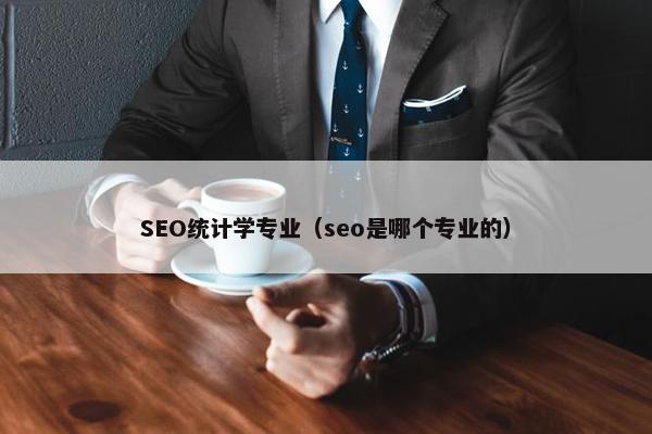 SEO统计学专业（seo是哪个专业的）