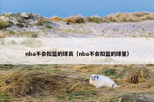 nba不会扣篮的球员（nba不会扣篮的球星）