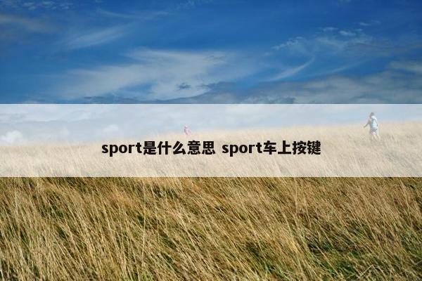 sport是什么意思 sport车上按键