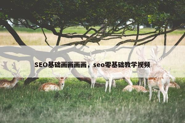 SEO基础画画画画，seo零基础教学视屏