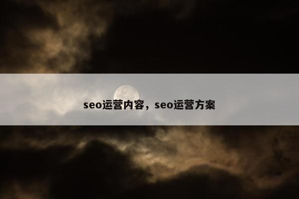 seo运营内容，seo运营方案