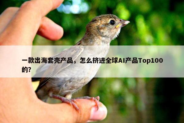 一款出海套壳产品，怎么挤进全球AI产品Top100的？