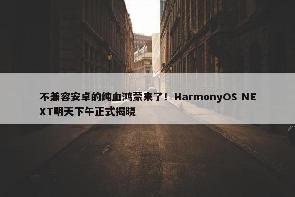 不兼容安卓的纯血鸿蒙来了！HarmonyOS NEXT明天下午正式揭晓