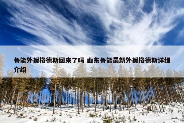 鲁能外援格德斯回来了吗 山东鲁能最新外援格德斯详细介绍