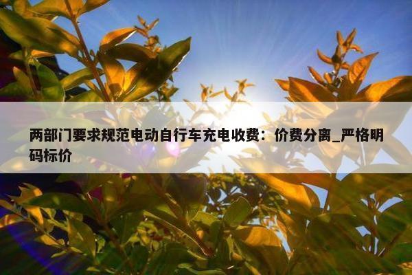 两部门要求规范电动自行车充电收费：价费分离_严格明码标价