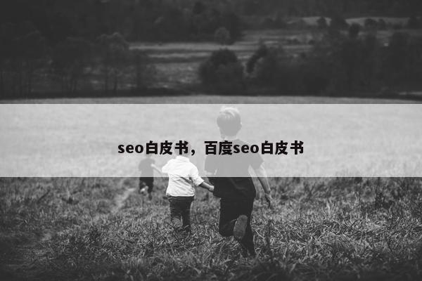 seo白皮书，百度seo白皮书