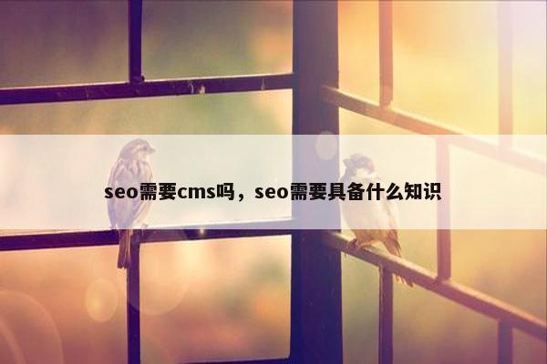 seo需要cms吗，seo需要具备什么知识