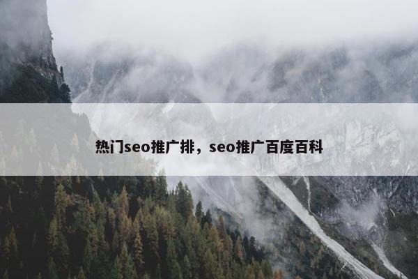 热门seo推广排，seo推广百度百科