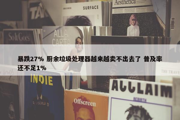 暴跌27% 厨余垃圾处理器越来越卖不出去了 普及率还不足1%