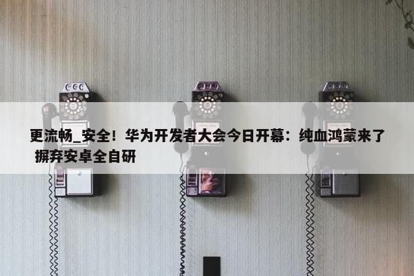 更流畅_安全！华为开发者大会今日开幕：纯血鸿蒙来了 摒弃安卓全自研