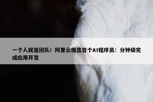 一个人就是团队！阿里云推出首个AI程序员：分钟级完成应用开发