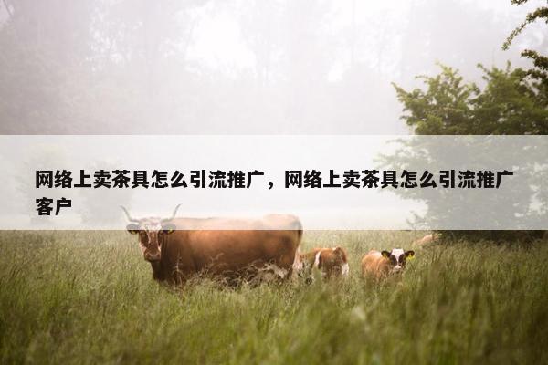 网络上卖茶具怎么引流推广，网络上卖茶具怎么引流推广客户