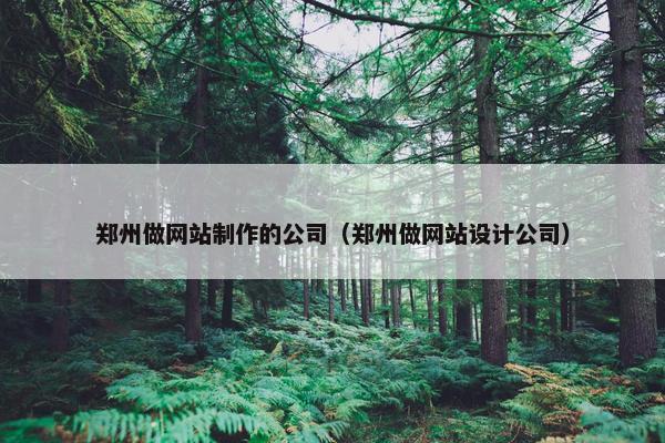 郑州做网站制作的公司（郑州做网站设计公司）