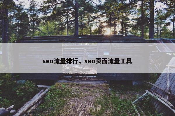 seo流量排行，seo页面流量工具