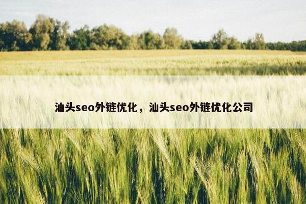 汕头seo外链优化，汕头seo外链优化公司