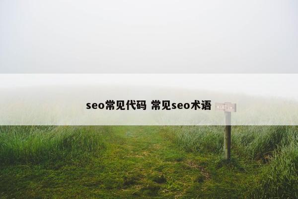 seo常见代码 常见seo术语