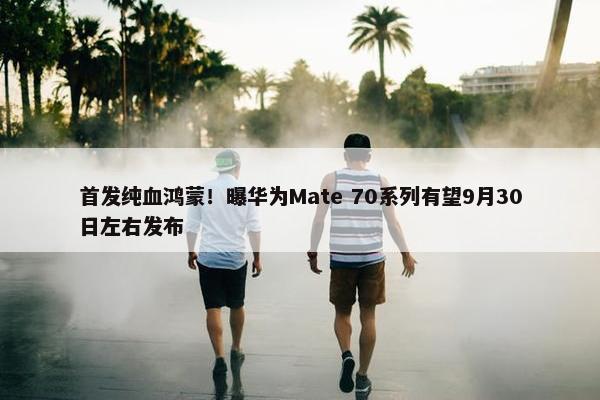 首发纯血鸿蒙！曝华为Mate 70系列有望9月30日左右发布